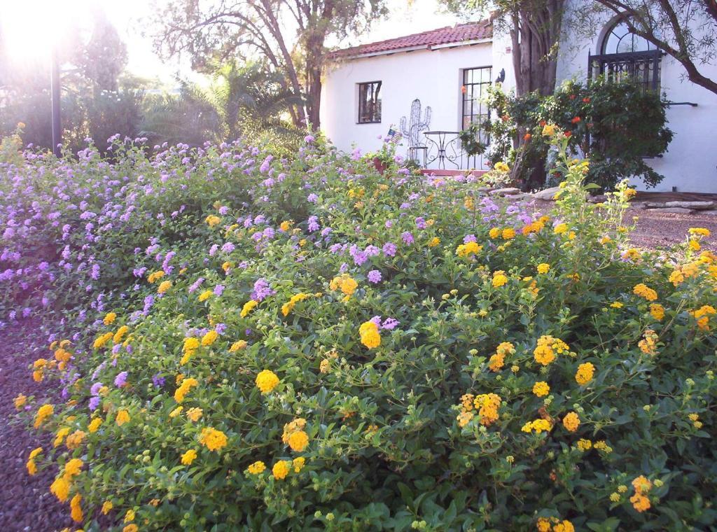 Sam Hughes Inn B&B Tucson Exterior foto